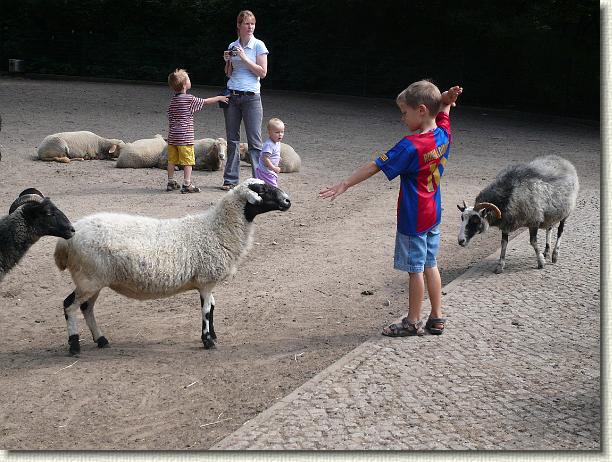 Nächstes Bild