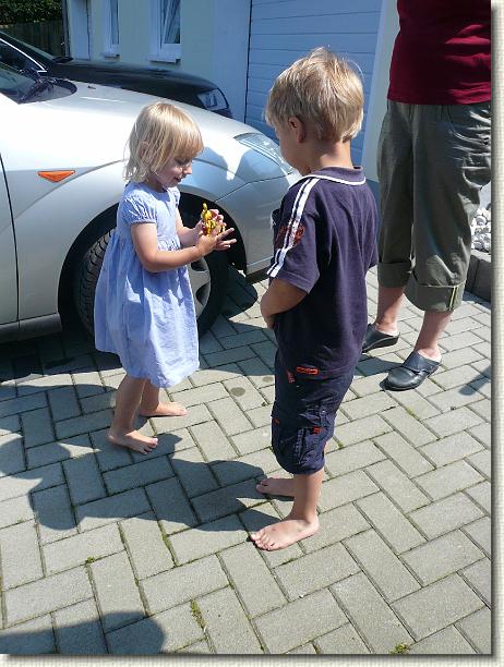 Nächstes Bild