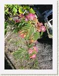 P1000347 * 2304 x 3072 * (3.31MB)